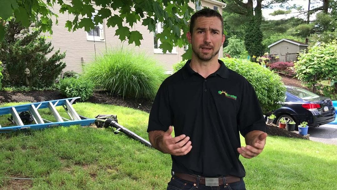 Learn about our solar powered lawn care equipment.